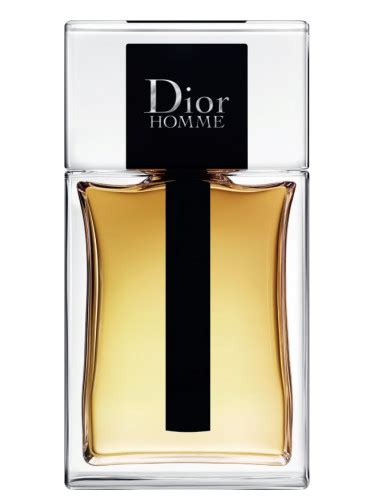 dior homme new fragrantica|Dior Homme original for men.